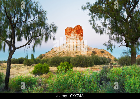 Kammern Säulen eingerahmt von zwei Desert Oaks. Stockfoto