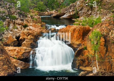 Edith Falls im Nitmiluk National Park direkt nach der Regenzeit. Stockfoto