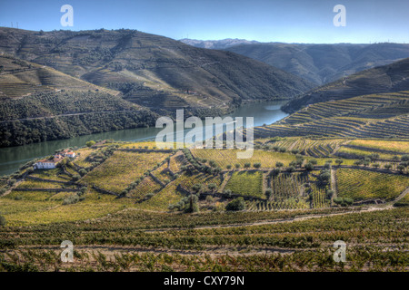 Landschaftsansicht der Douro-Region während der Ernte. Port Wein-Region, im Norden von Portugal. Es gilt als UNESCO-Welterbe Stockfoto