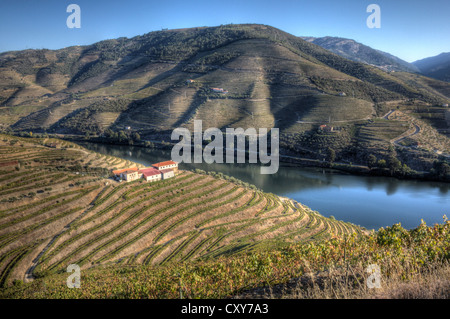 Landschaftsansicht der Douro-Region während der Ernte. Port Wein-Region, im Norden von Portugal. Es gilt als UNESCO-Welterbe Stockfoto