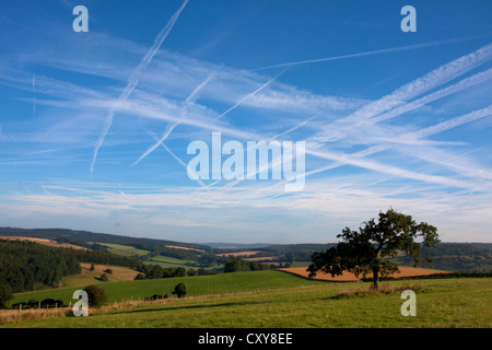 Chem-Trails im Himmel links von Flugzeugen, Sussex, England Stockfoto