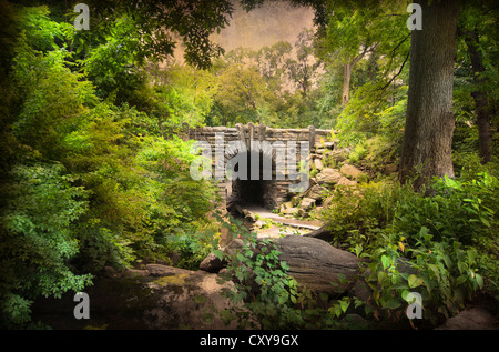 Wahrzeichen steinerne Fußgängerbrücke in Central Park New York City.  Dieses Bild hat künstlerische Struktureffekt, Vintage-Stil zu erstellen. Stockfoto