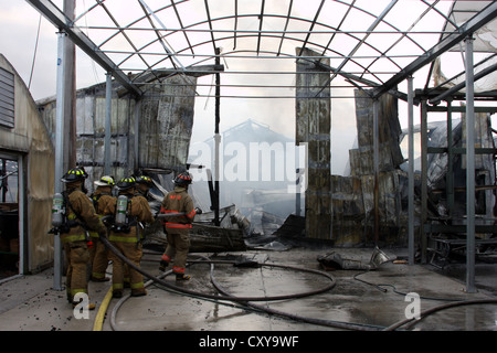 Feuerwehr auf der Bühne ein Gewächshaus-Feuer Stockfoto