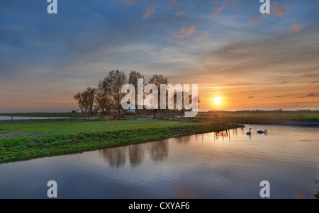 Zwei Schwäne schwimmen auf einem holländischen Kanal bei Sonnenuntergang in der wunderschönen Landschaft von Nord-Holland Stockfoto