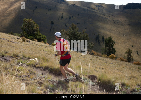 Mt Taylor 50K, ersten konstituierenden Ultramarathon 29. September 2012 - Mt Taylor, San Mateo Mountains in New Mexico Stockfoto