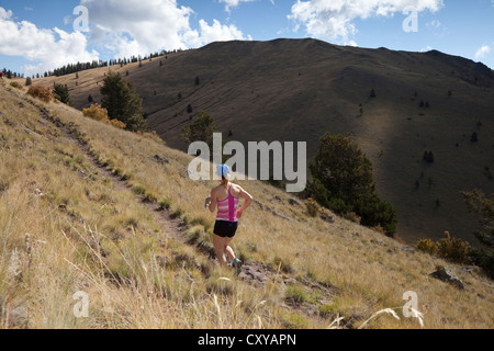 Mt Taylor 50K, ersten konstituierenden Ultramarathon 29. September 2012 - Mt Taylor, San Mateo Mountains in New Mexico Stockfoto