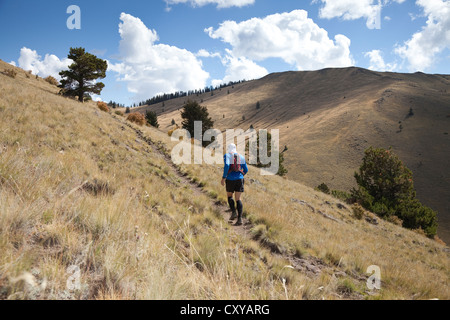 Mt Taylor 50K, ersten konstituierenden Ultramarathon 29. September 2012 - Mt Taylor, San Mateo Mountains in New Mexico Stockfoto