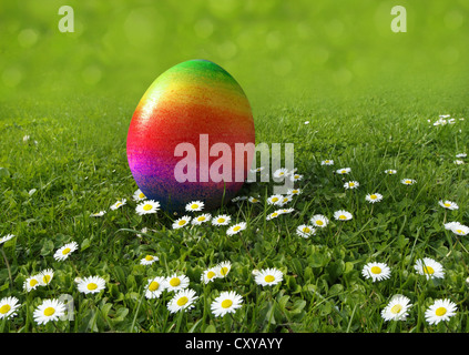 Regenbogenfarbige Easter Egg auf einer Wiese mit Gänseblümchen Stockfoto