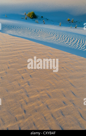 Sanddünen auf die Wände von China auf Mungo National Park, New-South.Wales, Australien Stockfoto