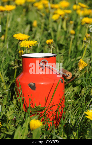 Alte rote Milch kann oder in einer Löwenzahn Wiese churn Stockfoto