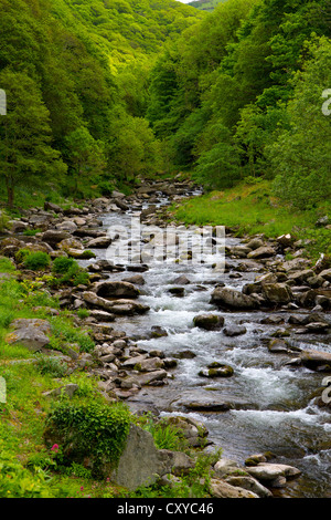 Lynmouth, Watersmeet entlang der Fluss Lyn in Devon, England. Stockfoto