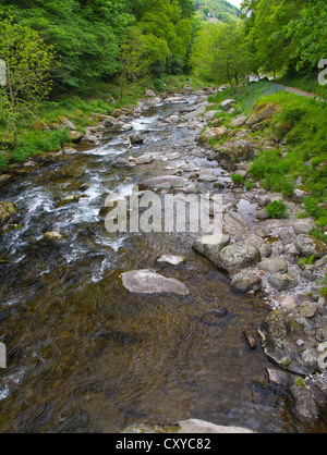 Lynmouth, Watersmeet entlang der Fluss Lyn in Devon, England. Stockfoto