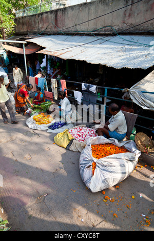 Landschaft auf dem Blumenmarkt Malik Ghat in Kolkata, Indien Stockfoto