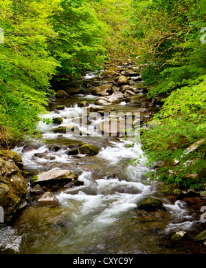 Lynmouth, Watersmeet entlang der Fluss Lyn in Devon, England. Stockfoto