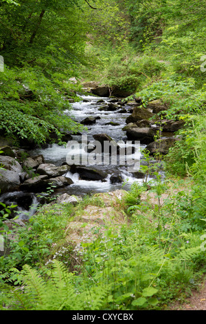 Lynmouth, Watersmeet entlang der Fluss Lyn in Devon, England. Stockfoto