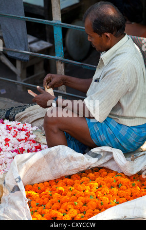 Landschaft auf dem Blumenmarkt Malik Ghat in Kolkata, Indien Stockfoto