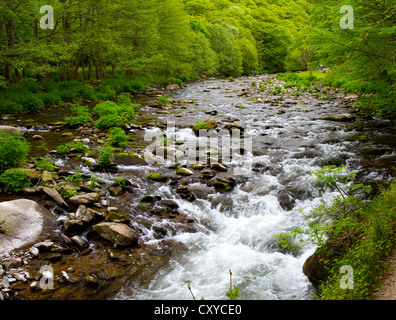 Lynmouth, Watersmeet entlang der Fluss Lyn in Devon, England. Stockfoto