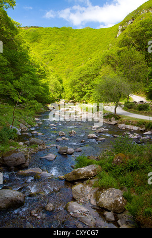 Lynmouth, Watersmeet entlang der Fluss Lyn in Devon, England. Stockfoto