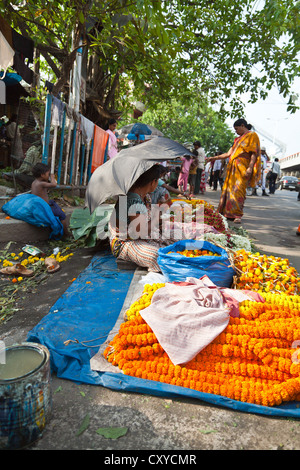 Landschaft auf dem Blumenmarkt Malik Ghat in Kolkata, Indien Stockfoto