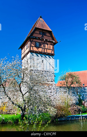 Dinkelsbühl, mittelalterliche Stadt in Bayern, Deutschland, Wachturm der Stadtmauer Stockfoto