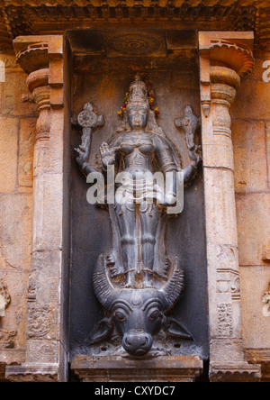 Schnitzen von Vishnu Durgai stehend auf einem Büffel Kopf an der Brihadishwara-Tempel, Thanjavur, Indien Stockfoto