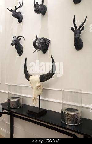 Wand in einem Haus mit reichlich wilde Tiere Jagd Trophäe Stockfoto