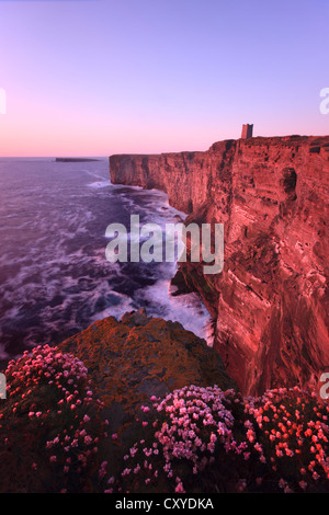 Marwick Head, Orkney Inseln Stockfoto