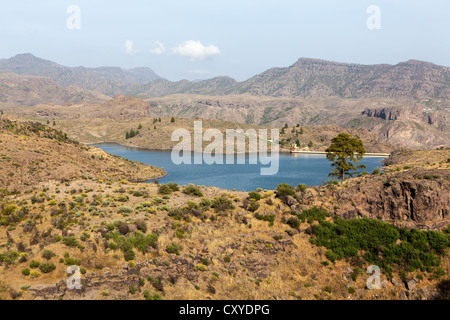 See-El Juncal, einem kleinen Stausee in Pinar de Pajonales Nationalpark, Roque Bentaiga, Gran Canaria, Kanarische Inseln, Spanien Stockfoto