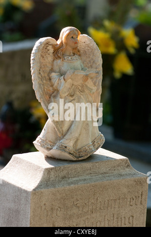 Engel Figur Lesebuch auf dem Grab. Stockfoto