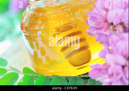 Honig im Glas Stockfoto