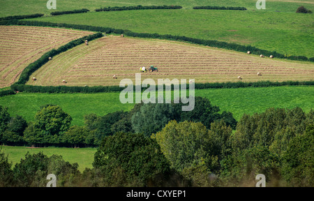 TRAKTOR HEU MACHEN IM TAL DER USK SOUTH WALES UK Stockfoto