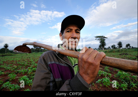 Kleinbauern mit einer Hacke auf seinem Gebiet von Bohnen, Comunidad Arroyito, Departamento Concepcion, Paraguay, Südamerika Stockfoto