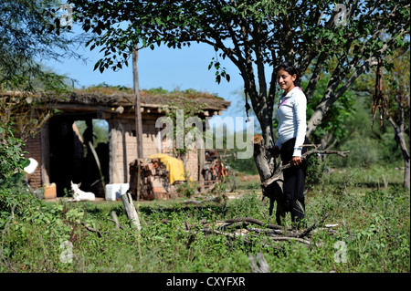 Junge Frau sammeln von Brennholz, Gran Chaco, Santiago del Estero Provinz, Argentinien, Südamerika Stockfoto