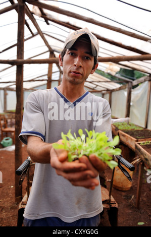 Biolandbau, junger Mann in einer Gärtnerei Jungpflanzen von Salat in den Händen hält Landwirtschaft College CECTEC, Itapua Stockfoto