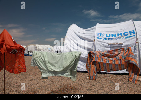 Erste Rezeption Flüchtlingslager Einrichten des UNHCR, Vereinten Nationen, direkt an der tunesisch-libyschen Grenze, Ras al-Jedir, Tunesien Stockfoto