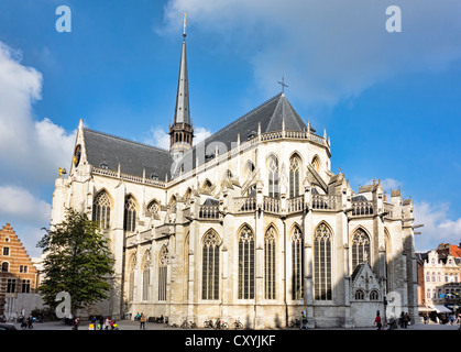 Peterskirche in Leuven, Flandern, Belgien Stockfoto