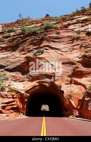 Kreuz-Schichtung in Sandstein und einen Tunnel, Mt. Carmel Highway, Zion Nationalpark, Utah, USA Stockfoto