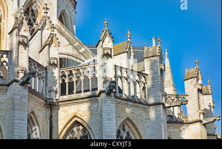 Peterskirche in Leuven, Flandern, Belgien Stockfoto