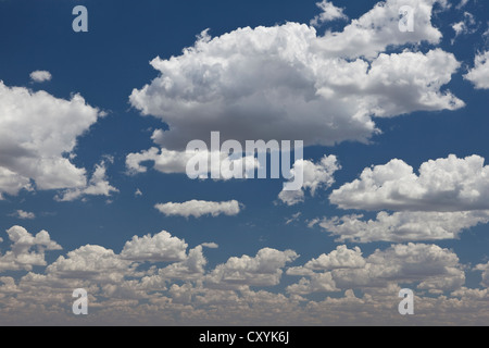 Blauer Himmel mit weißen Wolken, Caleta Olivia, Santa Cruz Provinz, Argentinien, Südamerika, Amerika Stockfoto