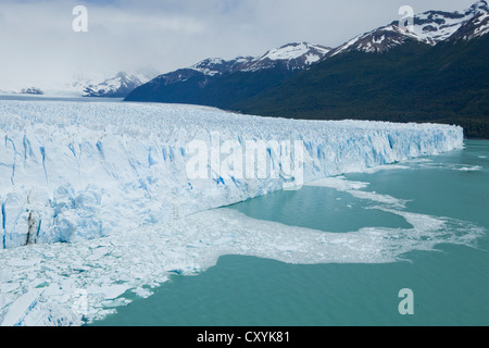 Gletschereis aus der Perito-Moreno-Gletscher Kalben in den See der Lago Argentino, Region Santa Cruz, Patagonien, Argentinien Stockfoto