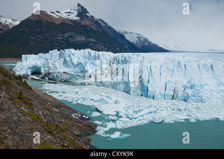 Gletschereis aus der Perito-Moreno-Gletscher Kalben in den See der Lago Argentino, Region Santa Cruz, Patagonien, Argentinien Stockfoto