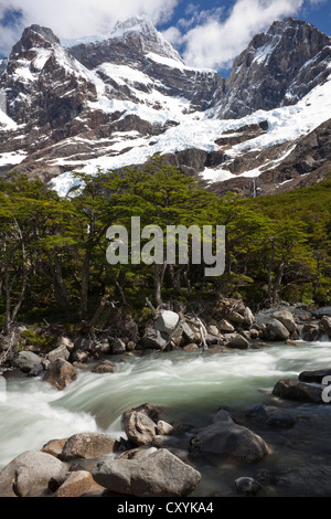 Gletscherfluss im Französisch-Tal, Blick auf den schneebedeckten Berg Cordilera Paine Grande, Torres del Paine Nationalpark Stockfoto