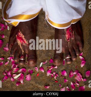 Füße mit Ringen von A Married Just Man umgeben von Rosenblüten auf seiner Hochzeit In Trichy, Indien Stockfoto