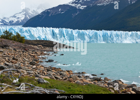 Gletschereis aus der Perito-Moreno-Gletscher am See der Lago Argentino, Region Santa Cruz, Patagonien, Argentinien, Südamerika Stockfoto