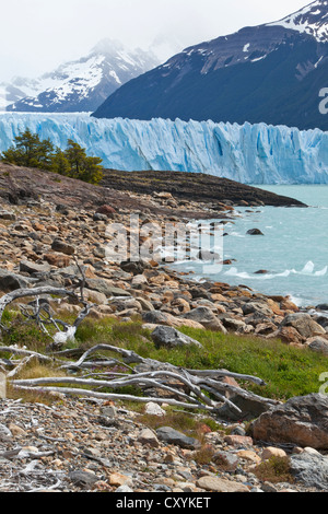 Gletschereis aus der Perito-Moreno-Gletscher am See der Lago Argentino, Region Santa Cruz, Patagonien, Argentinien, Südamerika Stockfoto