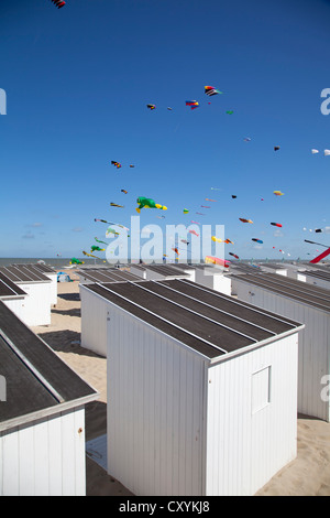 Internationales Drachenfestival in Ostende, Belgien Stockfoto