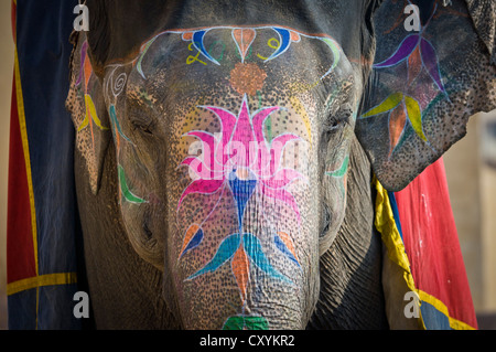 Bemalte Elefanten, Amer Fort, Amber Fort oder Palast Amber, Jaipur, Rajasthan, Indien, Asien Stockfoto