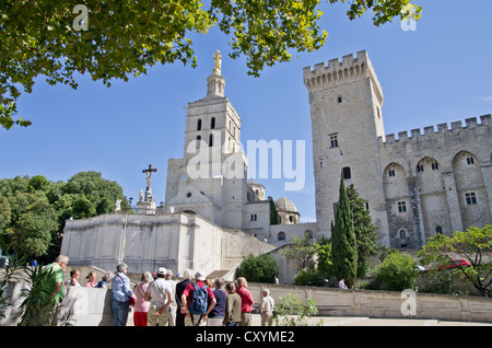 Avignon Place du Palais (Schlossplatz) und Notre Dame des Doms und der Palais des Papes (Palast der Päpste) Tour De La Campane Stockfoto