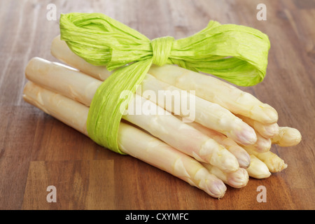 Frische ungeschälten weißen Spargel, mit einem grünen Band umwickelt Stockfoto