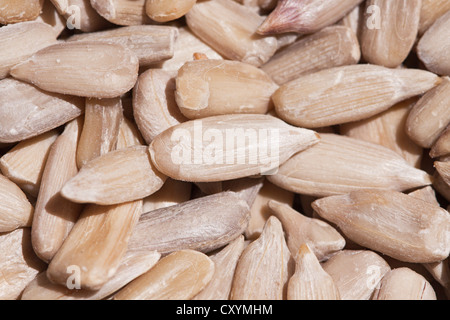 Geschälte Sonnenblumenkerne Stockfoto